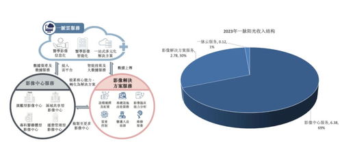 稀缺標(biāo)的港股上市 醫(yī)學(xué)影像第一股邁入高增長，互聯(lián)網(wǎng)數(shù)據(jù)服務(wù)助力新篇章
